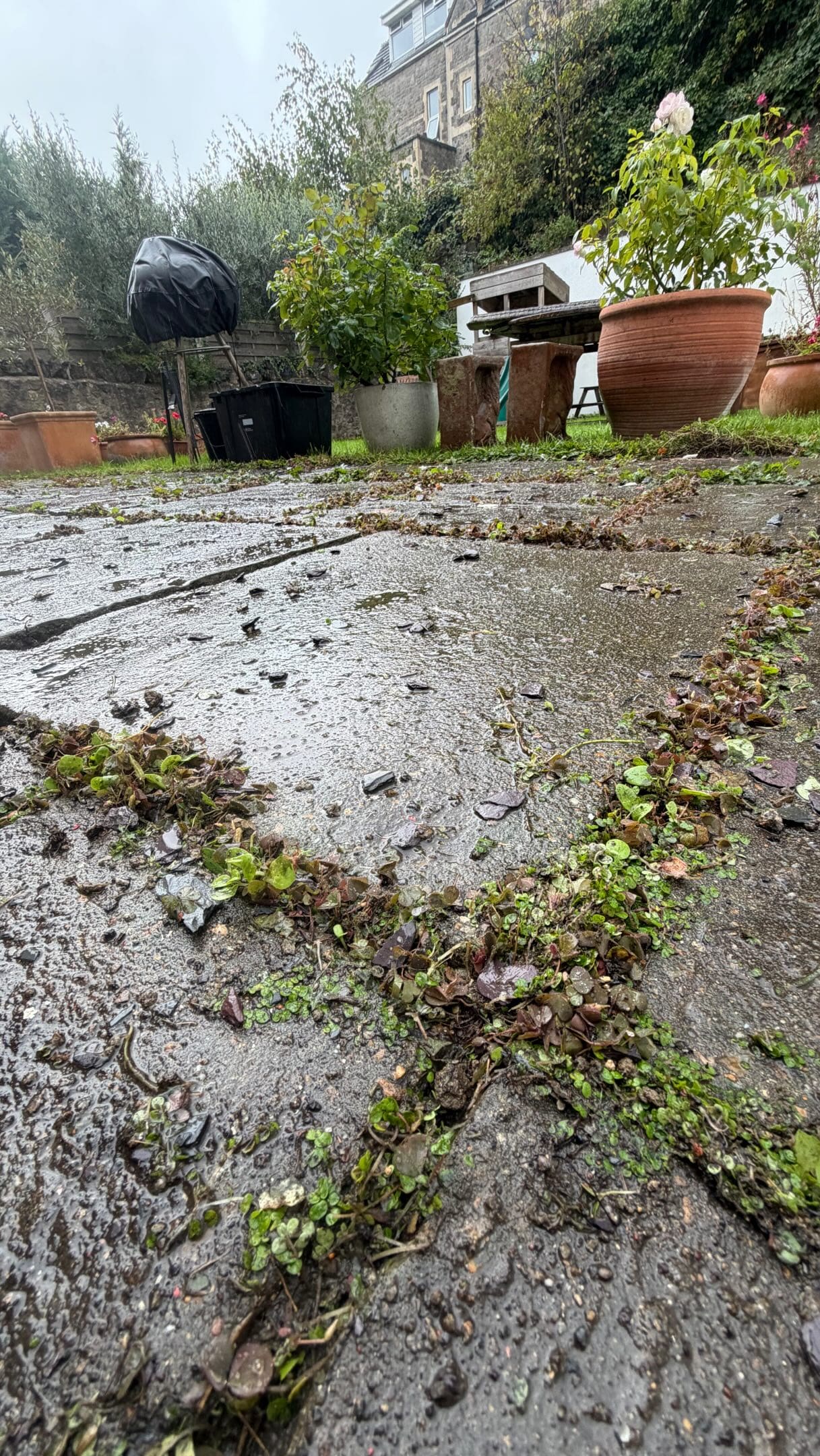 That cracked patio grout could cost you more than you think this winter.

Open and crumbling joints let rainwater into gaps around your paving. When trapped water freezes, it expands—potentially making existing damage worse and contributing to loose slabs.

Getting your patio repointed before winter helps tackle failing joints before another season of rain and frost takes its toll.

It starts with removing the failed material, preparing the joints and installing a replacement suited to your paving. Covering loose grout won’t solve the problem.

Cracked joints? Missing pointing? Grout coming out every time you clean? Now’s the time to get it sorted.

Send us a DM with photos of your patio and your postcode for a repointing quote. Follow for more patio restoration advice.

#PatioRepointing #PatioRestoration #PatioRepair #PatioMaintenance #GardenMaintenance